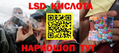 спиды Гатчина