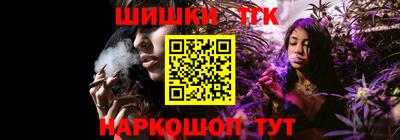 спиды Гатчина