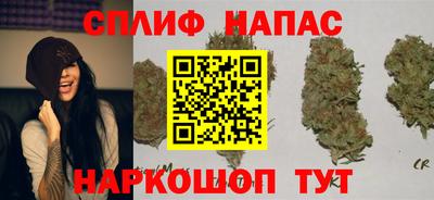 спиды Гатчина