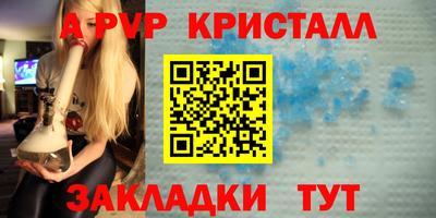 спиды Гатчина