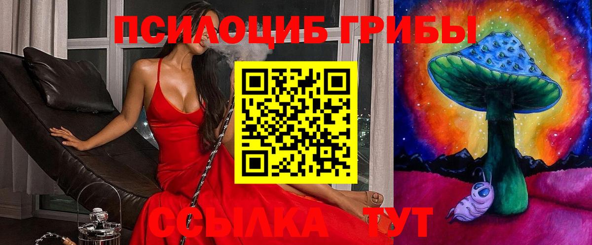 Псилоцибиновые грибы мухоморы Соликамск