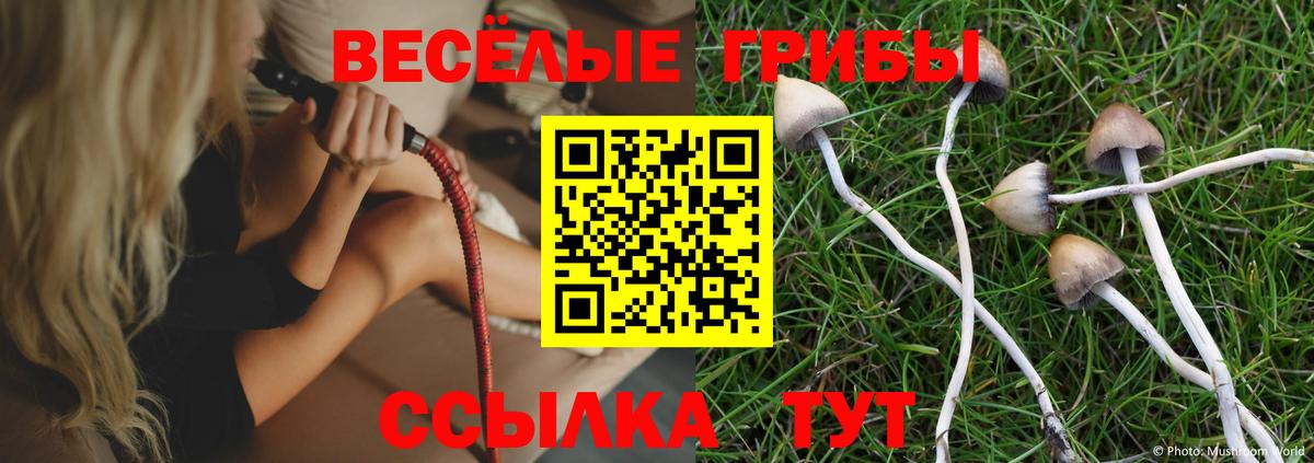 Псилоцибиновые грибы Psilocybine cubensis  Вход с VPN  Соликамск  Галлюциногенные грибы Psilocybe 